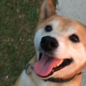 Meet your Posher, Marissa